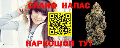 гашиш Новозыбков