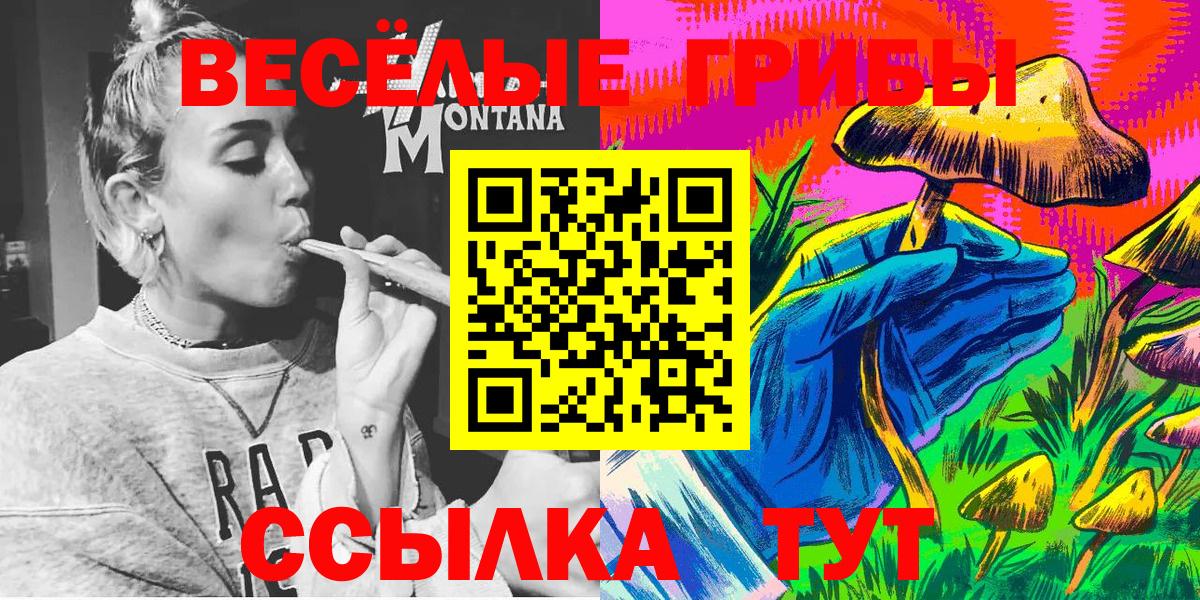 Псилоцибиновые грибы Psilocybine cubensis Ступино